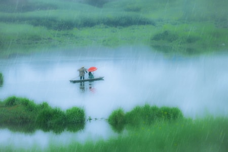 春-雨-花-人-湖 图片素材