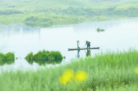 春-雨-花-人-风景 图片素材