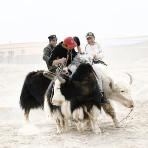 我的2019-人文纪实-情绪-喀什-旅行 图片素材
