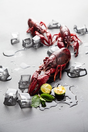 食物-龙虾-美食-食物-龙虾 图片素材