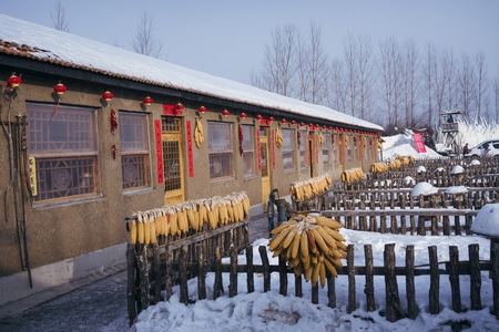 东北-雪-烟花-农家院-房屋 图片素材