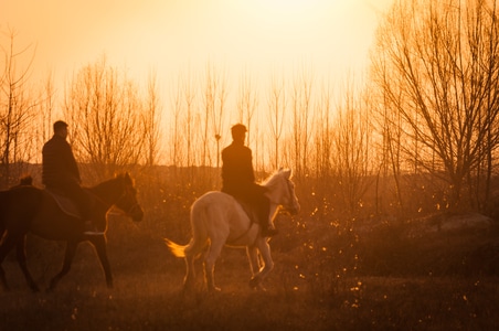 骑马-夕阳-黄昏-骑马人-抓拍 图片素材