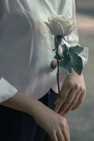 旧照片-花园-花-花朵-白玫瑰 图片素材