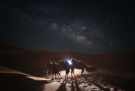 风光-你好2020-星空-银河-沙漠 图片素材