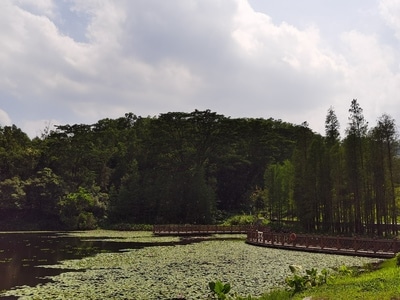 广州市-自然-在路上-风景-湖泊 图片素材