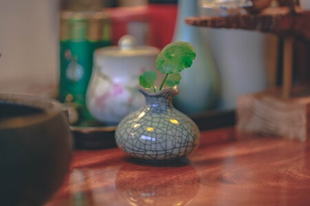走走看看-一瞬间-陶艺-陶瓷花瓶-木桌 图片素材