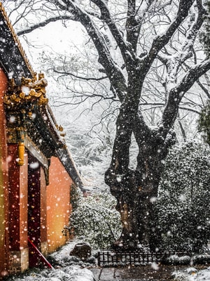 自然-古建-雪景-下雪-明孝陵 图片素材
