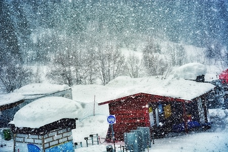 白皚皚-雪絨花-雪絨花-雪-房屋 图片素材