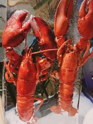 馋嘴-大龙虾-美食-食物-大龙虾 图片素材