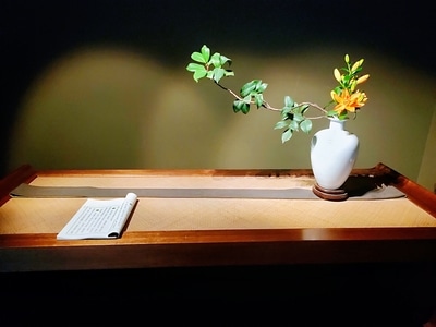 雅-柔光-花朵-花-花卉 图片素材