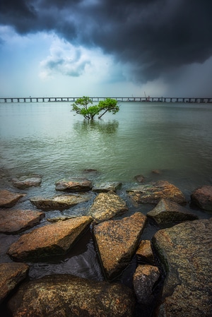 风光-光-海-暴雨-风景 图片素材
