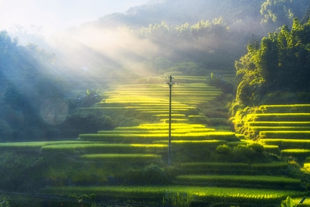 梦幻-雾-风光-日出-光 图片素材