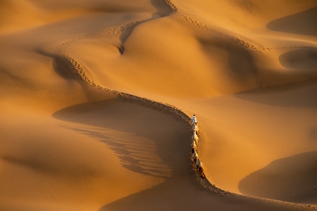 我的2019-风光-风景-沙漠-沙丘 图片素材