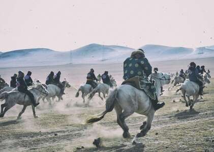 草原-内蒙古-万马奔腾-那达慕-阿拉伯骆驼 图片素材
