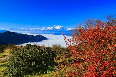 蓝天白云-小而美-我要上封面-风景-树 图片素材