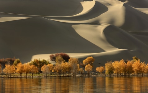 风光-沙漠-胡杨-塔里木河-风景 图片素材