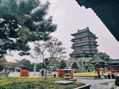 我的2019-滕王阁-滕王阁-仿古建筑-房屋 图片素材
