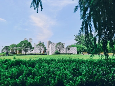 我的2019-生活-旅行-建筑-房屋 图片素材