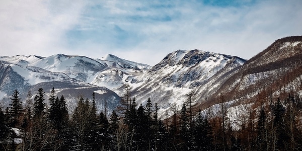 旅行-北方-风景-雪-冬季 图片素材
