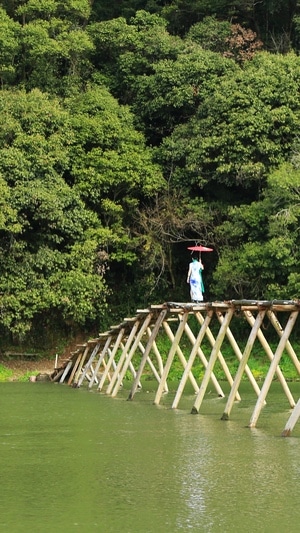 风光-河流-南方-木桥-人物 图片素材