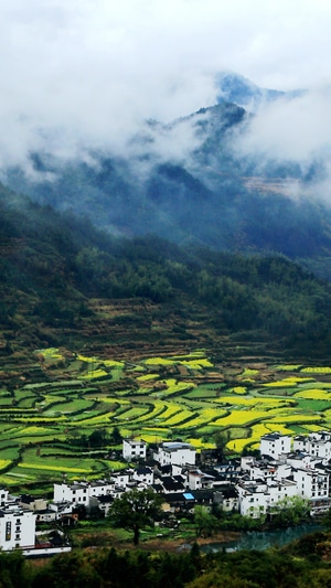 风光-春天-油菜花-建筑-群山 图片素材