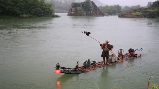旅行-风光-竹筏-渔民-鱼鹰 图片素材