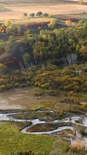 旅行-风光-秋季-小溪-灌木 图片素材
