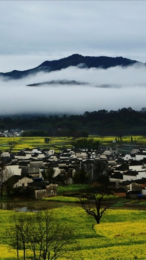 风光-油菜花-徽派建筑-云雾-群山 图片素材