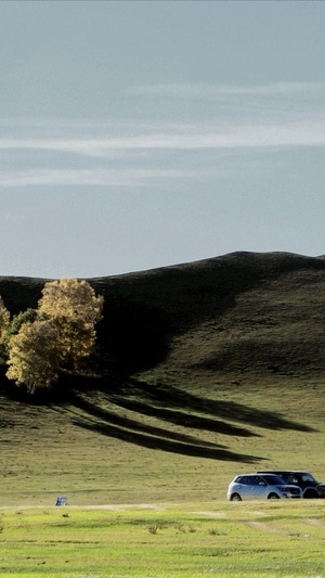 风光-草原-草甸-山坡-树木 图片素材