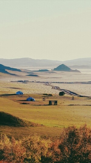 旅行-风光-蒙古包-草甸-早晨 图片素材