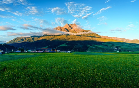 旅行-a7r2-祁连县-卓尔山-牛心山 图片素材