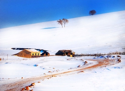 乌兰布统-坝上-坝上-房屋-雪地 图片素材