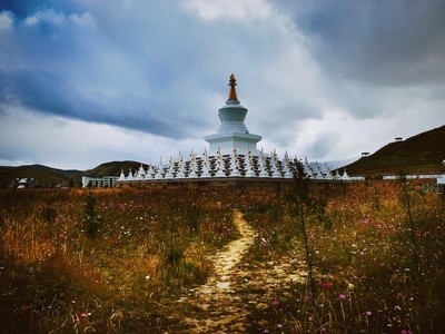 甘孜藏族自治州-塔公-白塔-塔公-佛教 图片素材