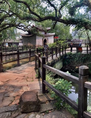 丽水市-莲都巿-古建筑-桥-丽水市 图片素材