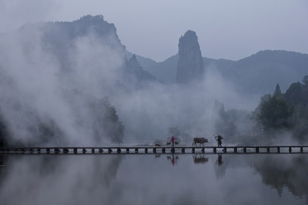 丽水市-鼎湖-朱潭山的牛-雾-朱潭山 图片素材