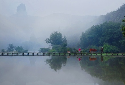 我要上封面-朱潭山的牛-风景-风光-桥 图片素材