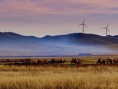 内蒙古-大兴安岭-风光-风景-自然风光 图片素材