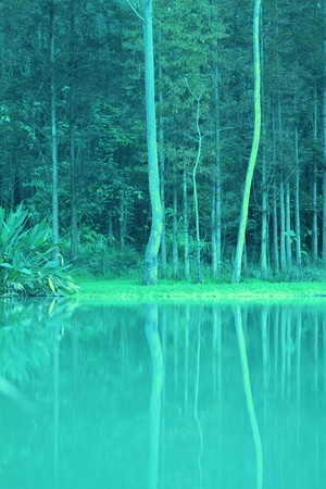 色彩-随拍-湖-湖泊-草地 图片素材