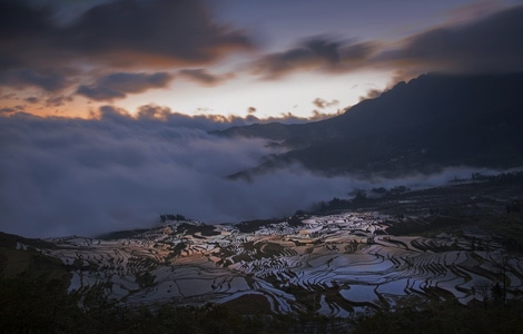 梯田-云-清晨-雾-阳光 图片素材