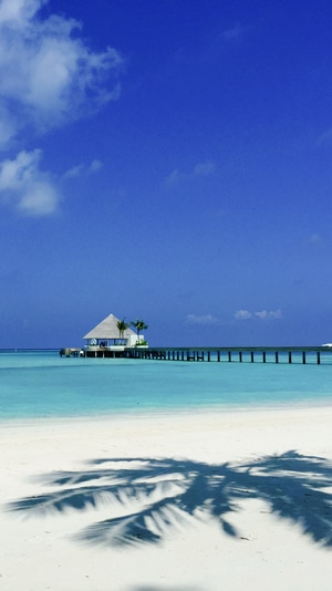 旅行-旅游-海岛-风光-马尔代夫 图片素材