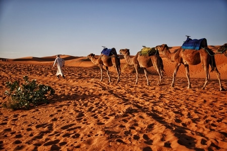 旅行-纪实-摩洛哥-梅祖卡-撒哈拉沙漠 图片素材