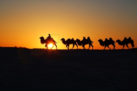 旅行-纪实-内蒙古-坝上-沙漠 图片素材