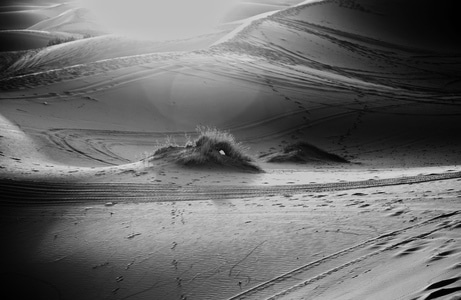 旅行-纪实-摩洛哥-撒哈拉沙漠-沙漠 图片素材