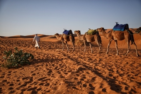 旅行-纪实-摩洛哥-撒哈拉沙漠-沙漠 图片素材