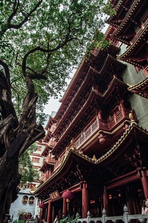 广州-旅拍-旅行-寺庙-大佛寺 图片素材