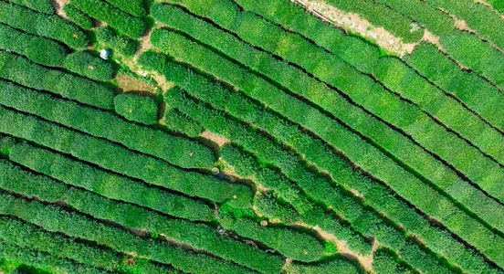 我要上封面-美景-风光-旅行-假期 图片素材