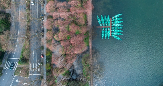 风光-西湖-杭州-杨公堤-航拍 图片素材