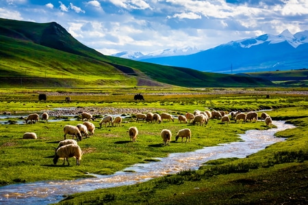 旅游-风光-西藏-风景-风光 图片素材