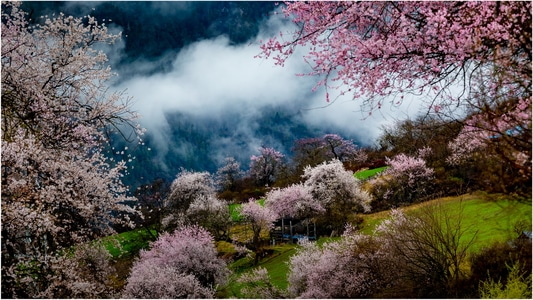 藏地-旅行-风光-风景-风光 图片素材