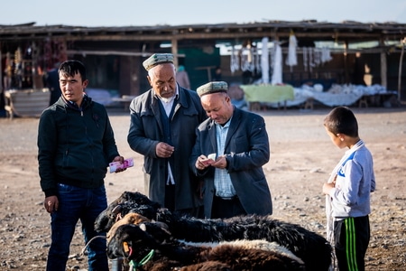 喀什-人文-城市-新疆-旅游 图片素材